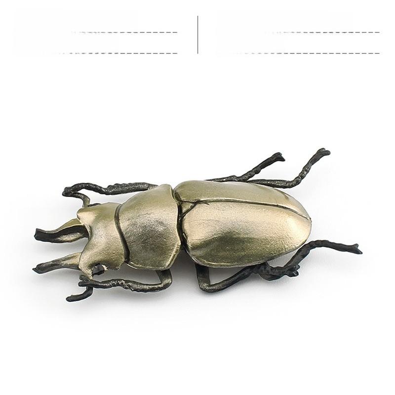 Insektensammlung Modell Pvc Tier Replikat Für Naturstudium Und Bildungszwecke