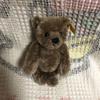 [USED] Steiff Teddy Bear 030147 Used Teddy Bear