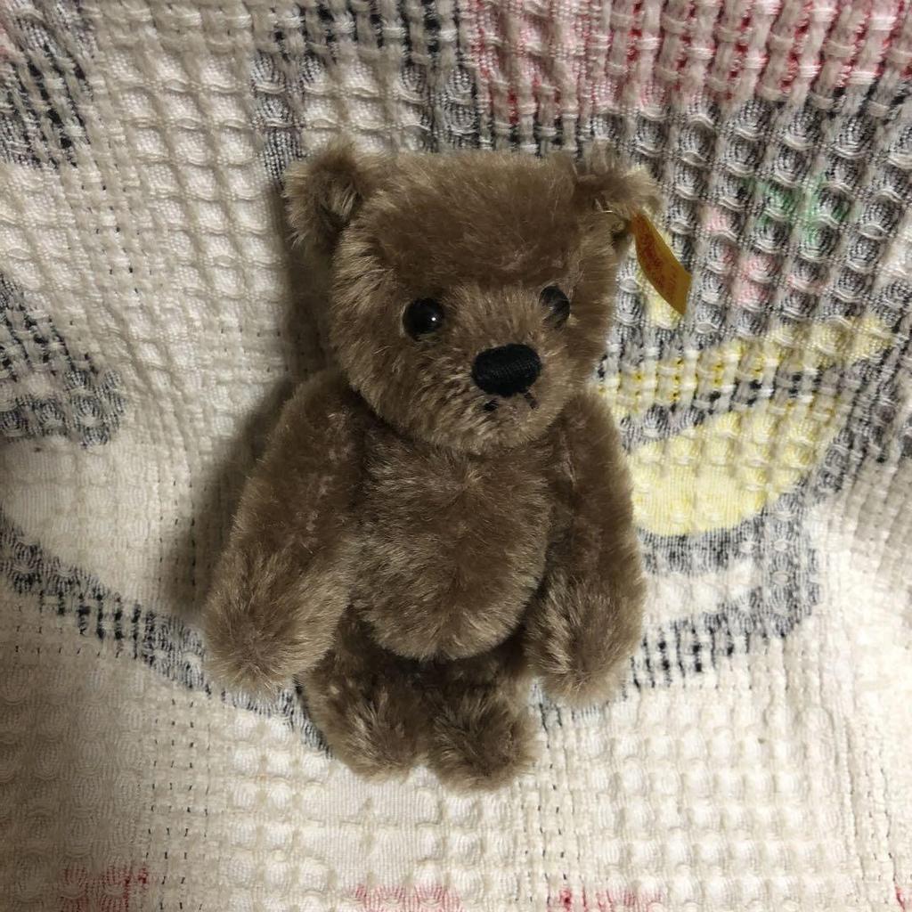 [USED] Steiff Teddy Bear 030147 Used Teddy Bear