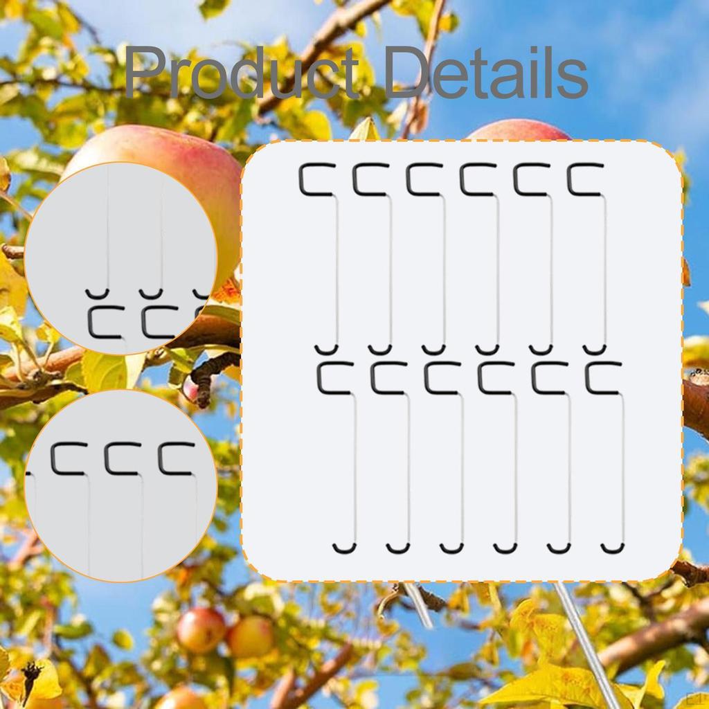 Fruit Tree Branch Spreaders Branches Puller Metal, Accessories, Open Angle, Professional Trees