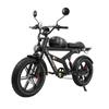 DUOTTS F20 750W Fat Tire E-Bike | 140km Range, 40km/h, 150kg Payload | All-Terrain Electric Bicycle for Men/Women