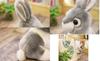 Adorable Rabbit Plush Toy - Enjoy a relaxing moment with this adorable bunny (Brown, 28cm)