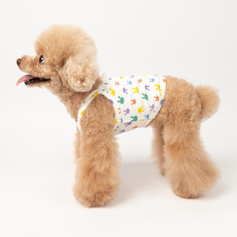 Bunny All-in-One Crop Top Puppy Summer Clothes