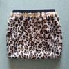 Autumn and Winter New Fur Short Skirt Fashion Imitation Rabbit Fur Skirt Women's Versatile High Waist Slim Skirt Trendy
