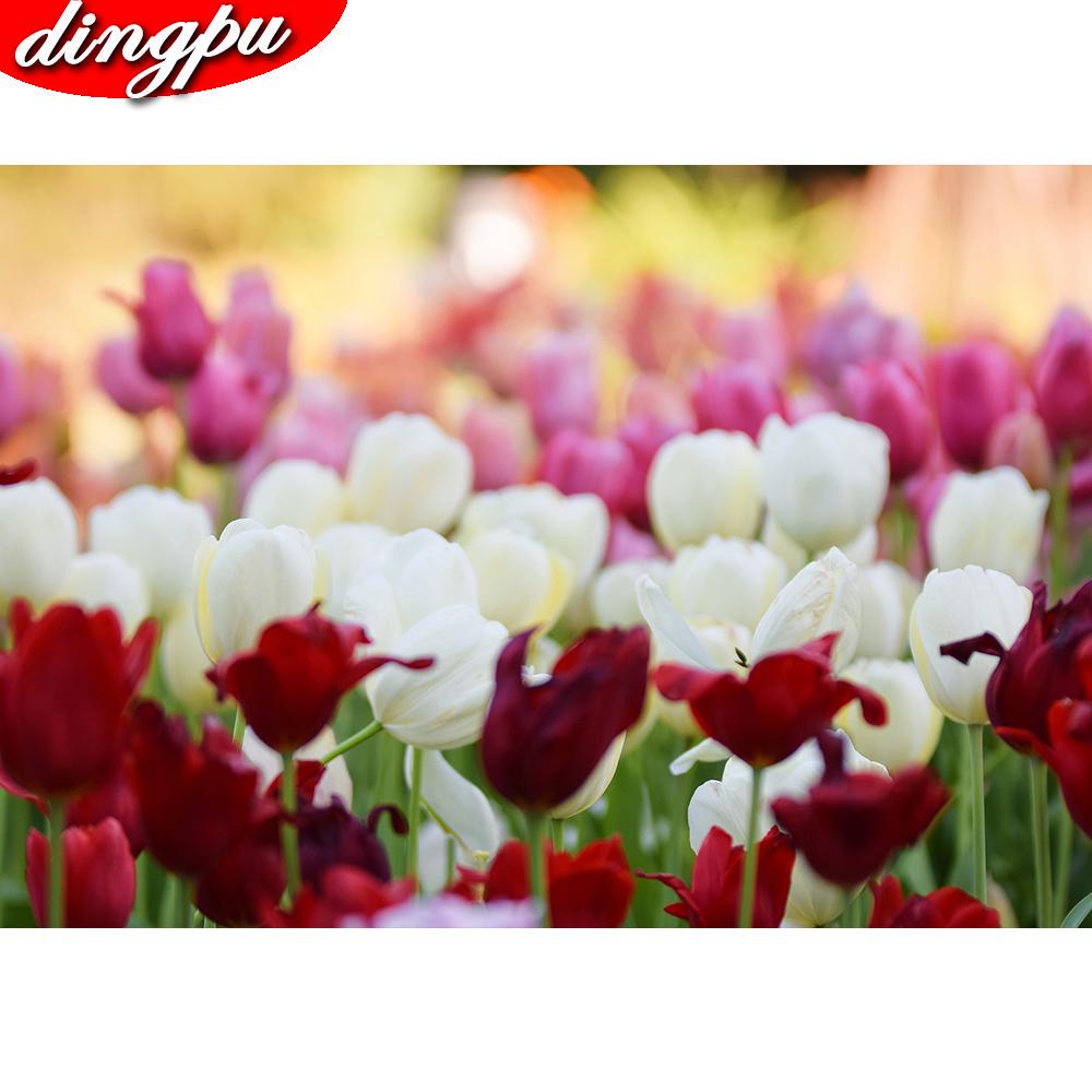 5D DIY diamant schilderij volledige ronde klaproos bloem kit diamant borduurwerk mozaïek decoraties thuis