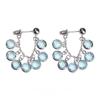 New Transparent Crystal Earrings for Women Exquisite Tassel Chic Earrings Unique Women's Party Jewelry Gifts