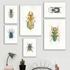 Scandinavian Simple Wall Art Beetle Edition Watercolor Insects HD Canvas Poster Prints Home Bedroom Living Room Decoration