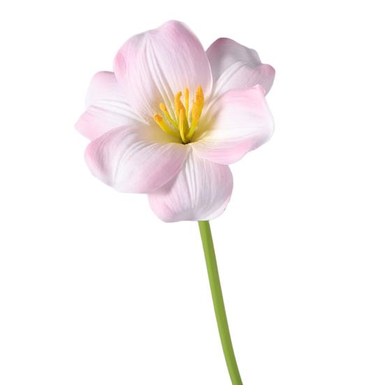 Simulated Tulips Bouquet Realistic Touch PU Petals Fading Vitality Bendable Stems Maintenance-Free Fake Tulips Home Decor