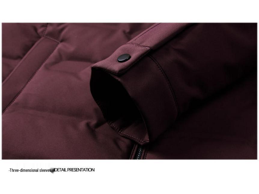 Men's Business Casual Lapel Down Jacket - Autumn/Winter 2025