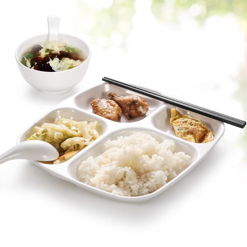 AVADEN Melamine Divided Dinner Plate