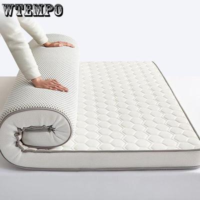 Lamb Wool Home Mattress Solid Color Tatami Plush Cushion Winter Thickened Warm Bedroom Dormitory Hotel Single and Double People Padded Quilts