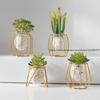 Light Luxury Home Decorative Hydroponic Vase for Office Desktop, Green Plant Container for Table Decoration
