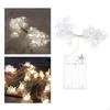 20 LED Easter Battery Operated Fairy Decorations for Home Tree Upstairs Banister Party