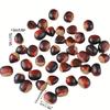 Realistic Artificial Chestnuts,12 Flat & 12 Pointed Durable Plastic Brown Decor for Home Parties,Festive Photography Props