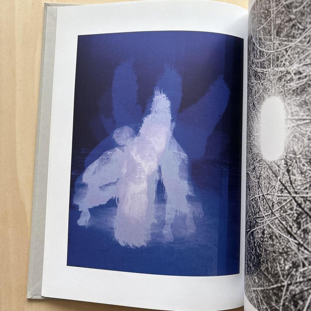 [USED] Out of print! Isabelle Wenzel Counting Till Ten