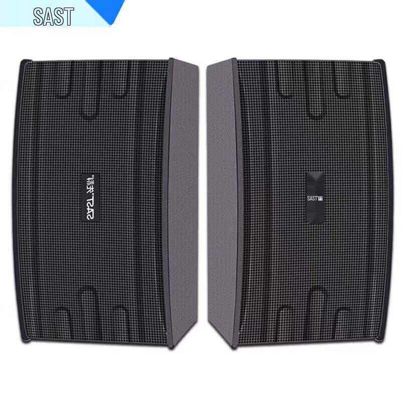 SAST Professional KTV & Conference Passive Speakers