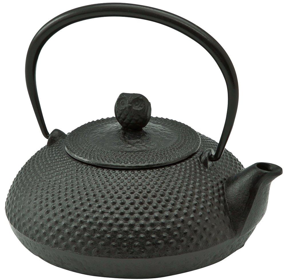 Ikenaga Iron Works Iron Kettle Nambu Ironware Kettle Iron Supplement Hoju Made in Japan 0.6L