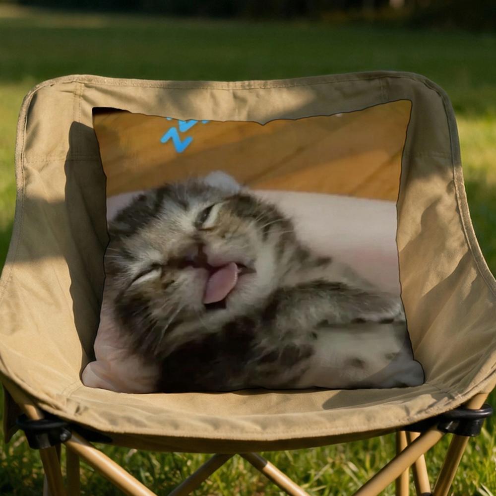 memes Cushion Cover Soft Reversible Durable Pillow Cover MultiScene Use for Home Car Daily Comfort