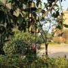 6 Bells Outdoor Metal Wind Chimes Yard Garden Hanging Ornament Decor Outdoor Garden