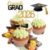2026 Graduation Cupcake Toppers,48 PCS Food/Appetizer Picks For Graduation Party Mini Cake Decorations,Diploma,2026,Grad Cap set