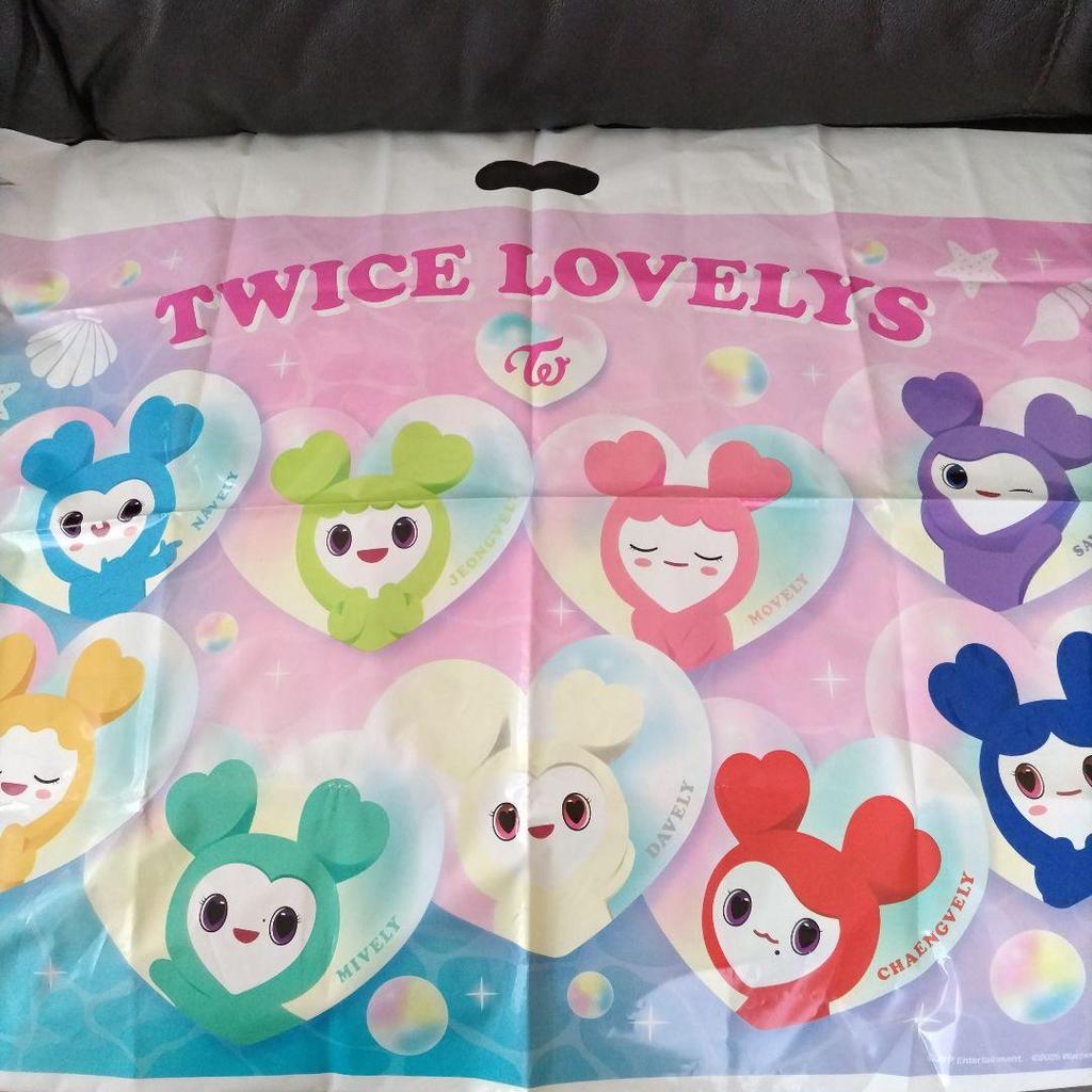 [USED] TWICE LOVELYS Chaeyoung Plush Slippers with Shopper