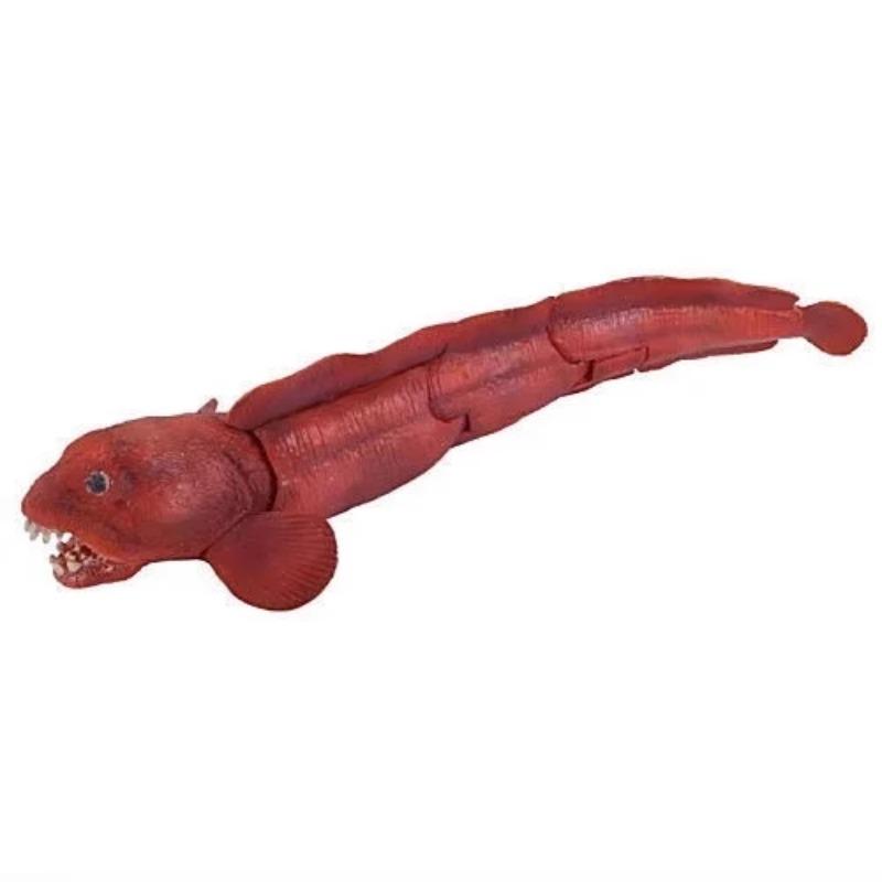 

Japanese Ocean Monsters Gashapon Toys Macrocheira Kaempferi Wolf Fish Joints Movable Simulation Figure Figure Ornaments Toys 6cm to 10cm