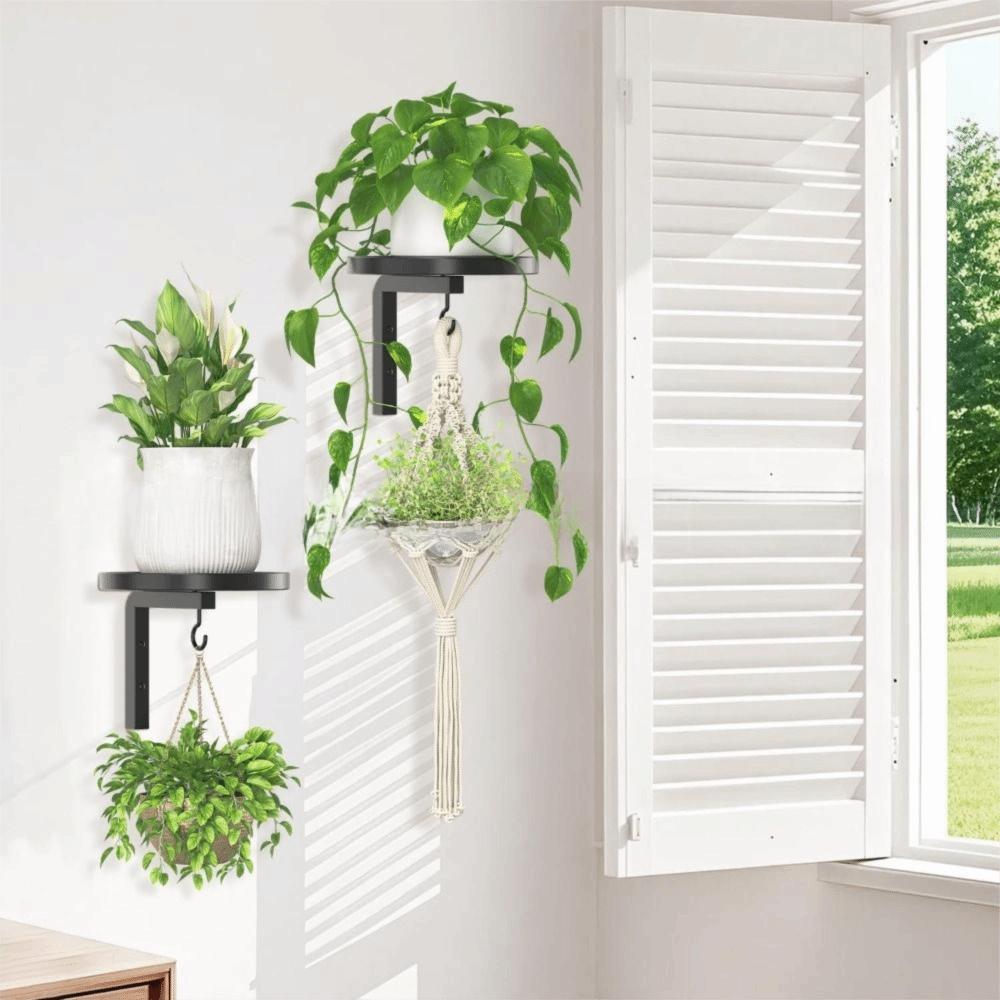 Raised Tray Edge Plant Display Stand Carbon Steel Flower Pot Rack  Window Display