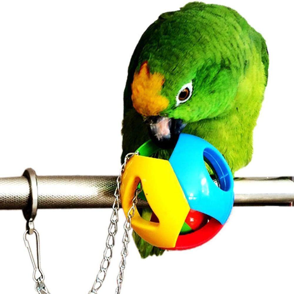 With Chain Parrot Chew Toy Plastic Birds Interactive Toy  Cockatiel Brinquedos
