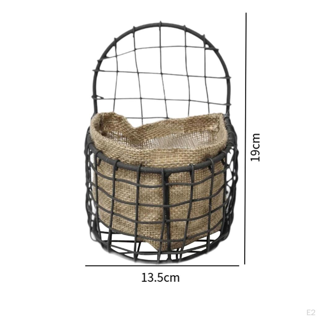 Contemporary Wall Mounted Plant Display for Indoor