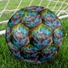 Galaxy Cat Dog Indoor Soccer Ball Size 5 Colorful All Ages Machine Stitched PVC Competition Ready Durable High-Bounce