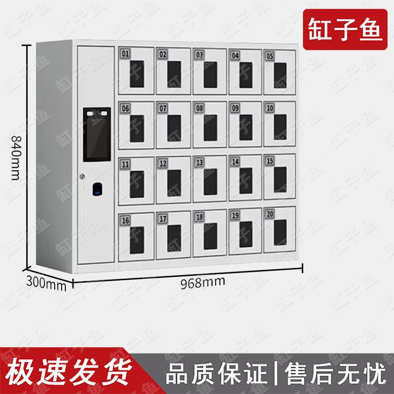 Smart Phone Biometric Security Cabinet