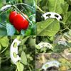 Plant Stem Training Bending Clamps Garden Greenhouse Flower Vegetable Plant Vine Clips for Low Stress Plant Growth 10/20/50Pcs