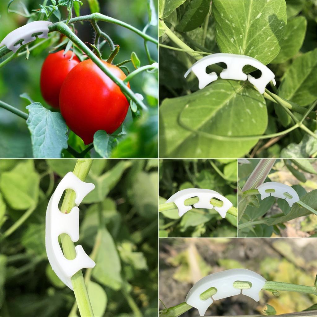 Plant Stem Training Bending Clamps Garden Greenhouse Flower Vegetable Plant Vine Clips for Low Stress Plant Growth 10/20/50Pcs