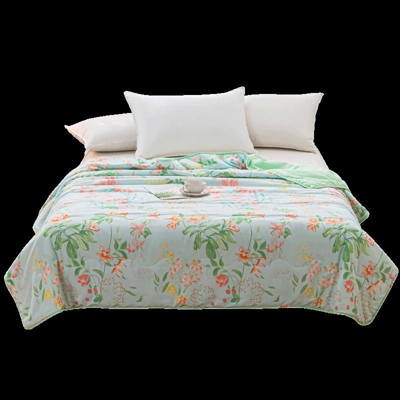 

Duohaoai Xiyan Meimeng Brushed Polyester Summer Quilt