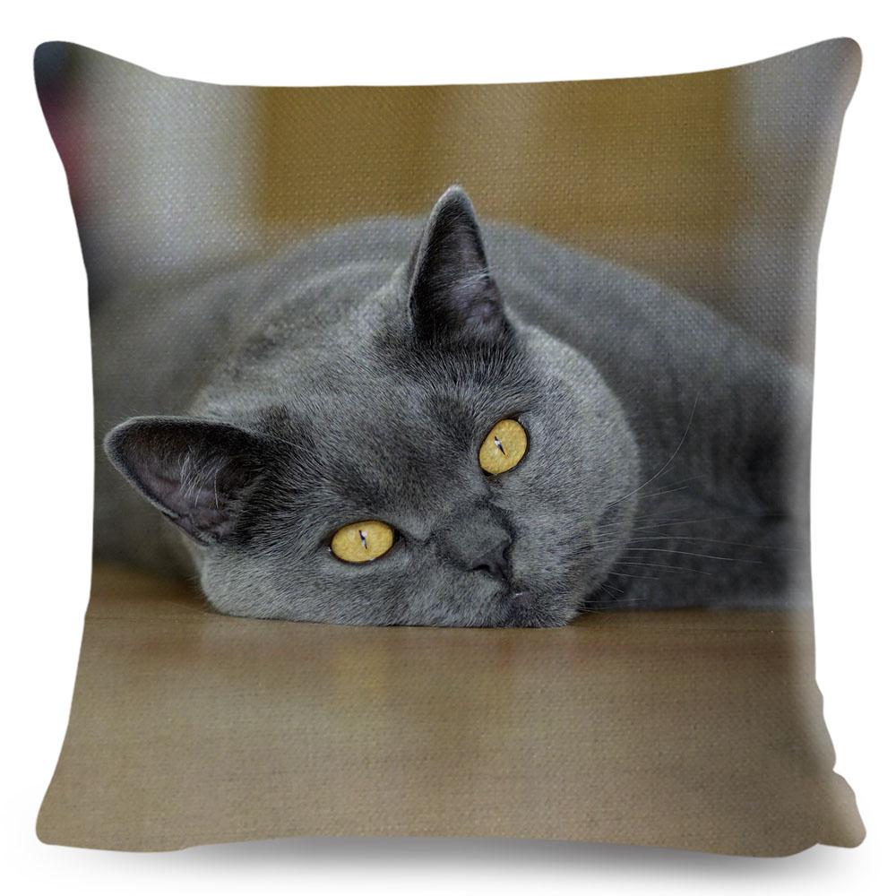 Housse de coussin British Shorthair bleu russe, taie d'oreiller en Polyester, décoration de chat mignon, Animal de compagnie, pour canapé, maison, voiture