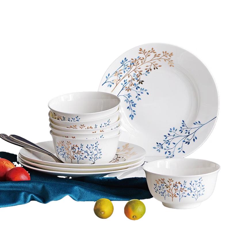 Tang Hui 10-Piece Bone China Dinnerware Set