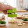 Manual Garlic Crusher Stainless Steel Garlic Chopper Garlic Paste Maker  Restaurant Use
