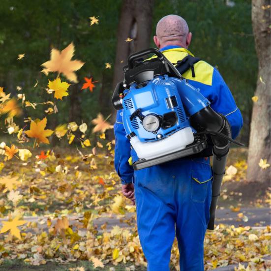 Soffiatore a Foglie, Soffiatore a Foglie a Zaino a Gas 75,6CC, Soffianeve a 4 Tempi per Cura del Prato Giardino Polvere Detriti (blu)