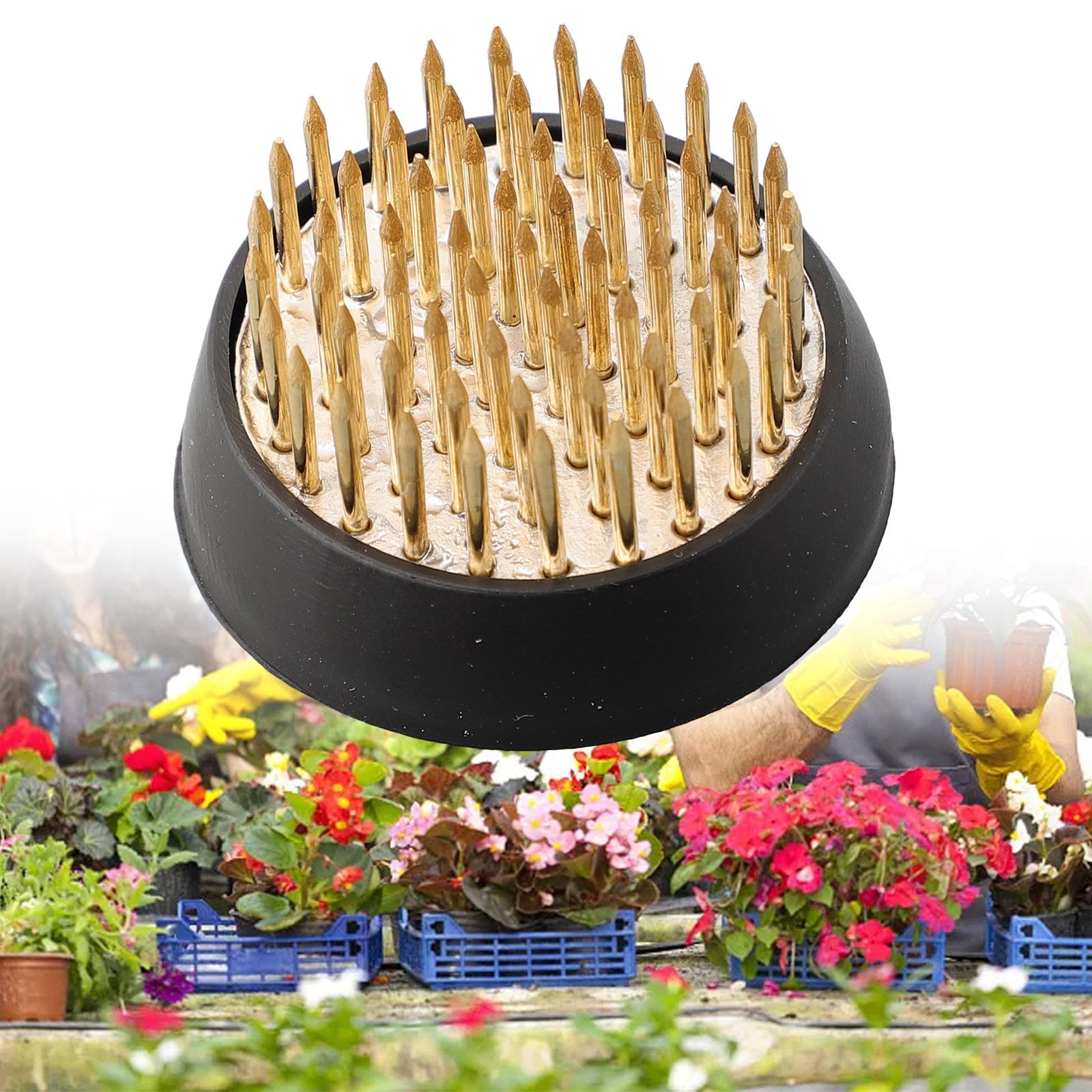 Round For Ikebana Kenzan Flowers Base Holder Spiky Frog Fixed Tool Floral Arrange Small Gold Pin Flower Frog Arranging Holder 23mm