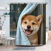 Cute Ragdoll Cat Peeking from Towel Blue Gradient Waterproof Shower Curtain