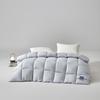 MUJI Goose Down Comforter
