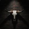 Southwestern Bull Skull Wall Decor Resin Hanging Farmhouse Boho