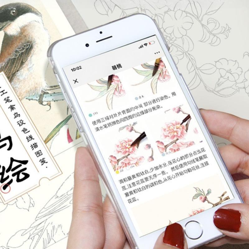 Einführung in die chinesische Malerei: Weißzeichnung, Linienzeichnung, Entwurf, sorgfältige Zeichnung, Manuskriptkopie, Malerei, Kolorierung, Zeichenpapier