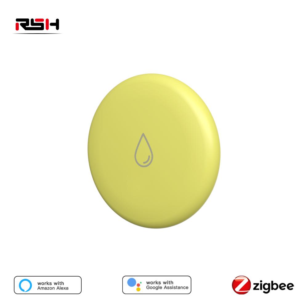 Zigbee Water Leak Detector Professional IP65 Waterproof Protection Tuya Zigbee Smart Flood Leakage Sensor App Remote Metal Probe