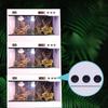Reptile Pet Terrarium Smart Temperature Control Gecko Lizard Breeding Box Thermostatic Waterproof Reptile Box Small Pet Boxes