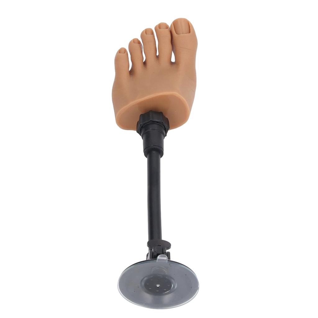 Silicone Nail Art Practice Foot Model Nail Tip Training Foot Model Silicone Half Foot Model With Stand for Home Nail