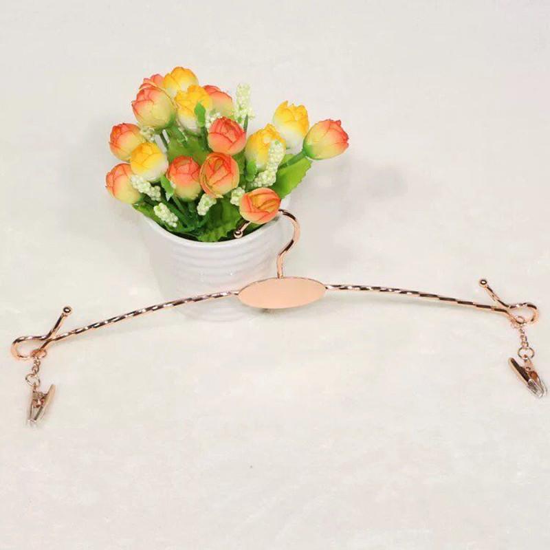 

Стойка для нижнего белья: Нескользящая металлическая вешалка для бюстгальтеров и трусов - Идеально подходит для магазинов одежды и торговых центров. розового золота