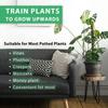 NEW 1PC Plant Climbing Coir Support Pole Potted Moss Stick Extendable Plant Support Monstera Creepers Vines Garden Supplies