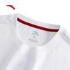 Anta Guochao Ice Silk Short-Sleeve T-Shirt