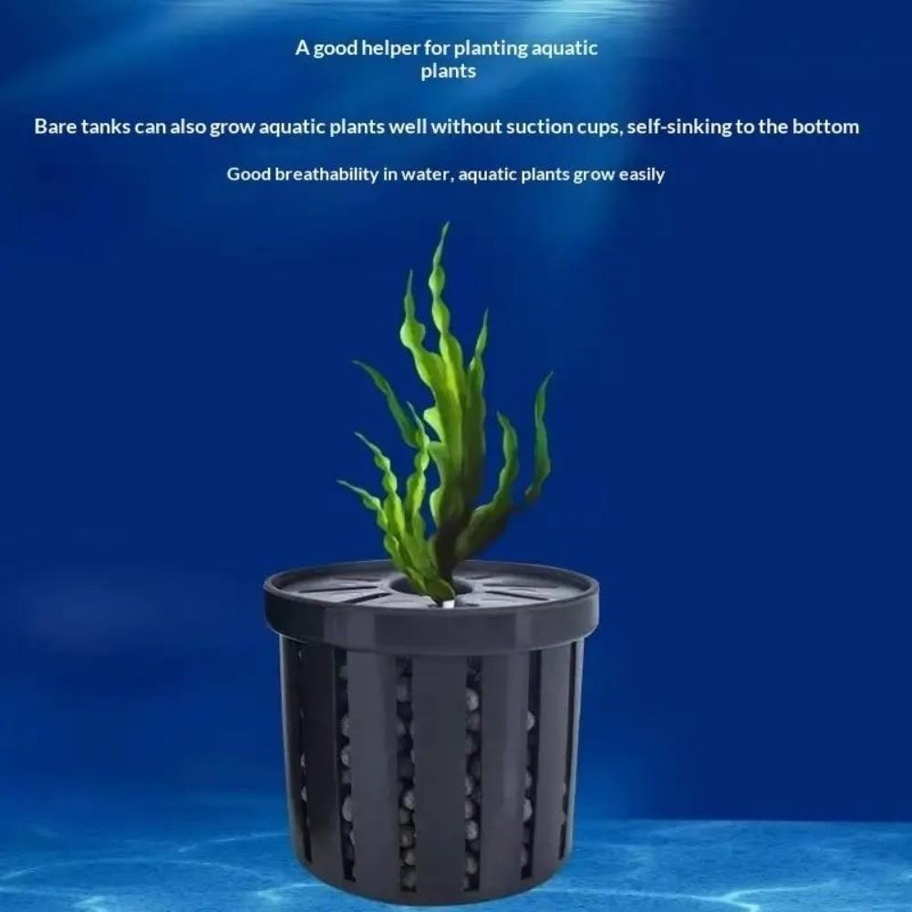 Glass Pot Fish Tank Hydroponic Planting Basket  for Tanks Aquascape Decorations